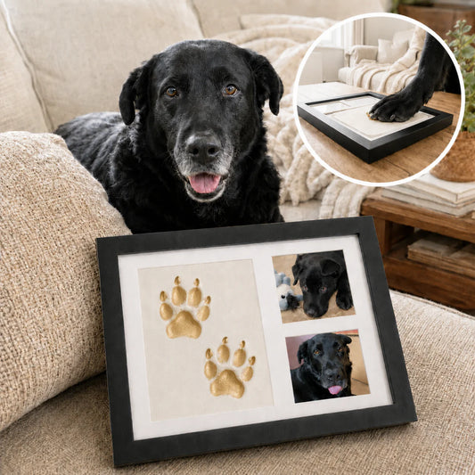Furever Pawtraits Clay Kit